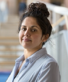 RESEARCH: Hinda Haned, Professor by Special Appointment of Data Science